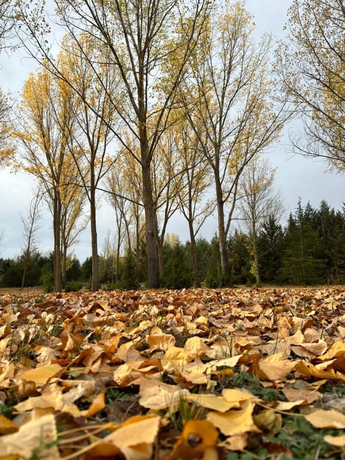 Finca Paraiso Rural Ел Бурго де Осма Екстериор снимка