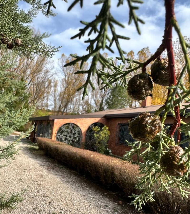 Finca Paraiso Rural Ел Бурго де Осма Екстериор снимка