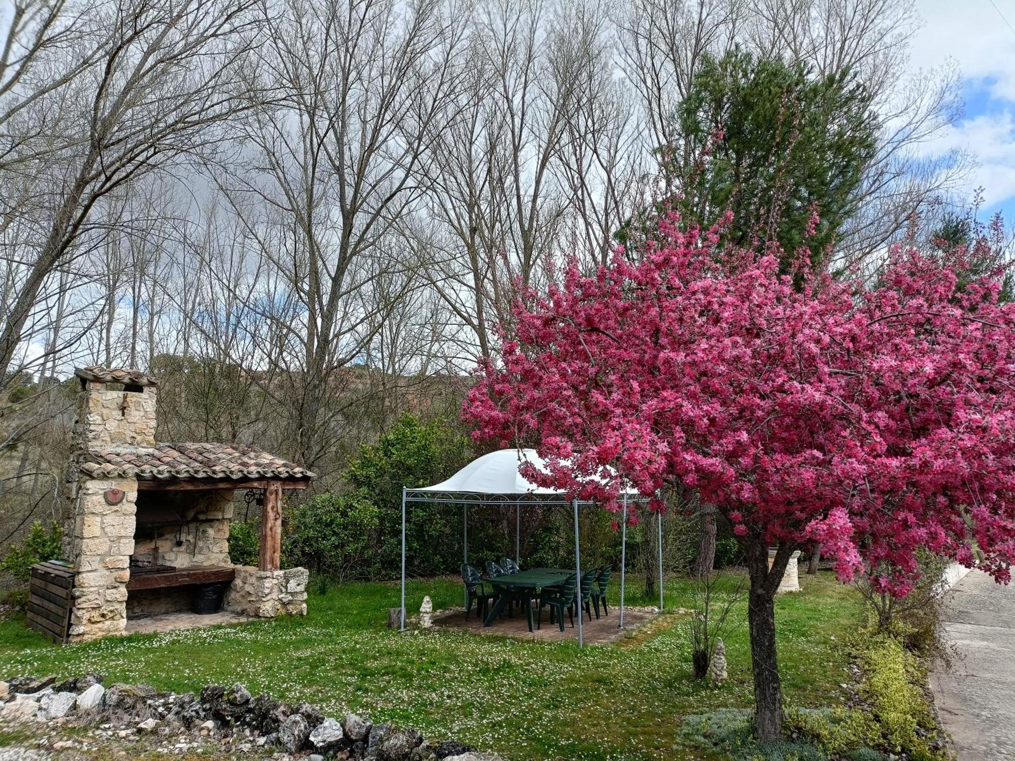 Finca Paraiso Rural Ел Бурго де Осма Екстериор снимка