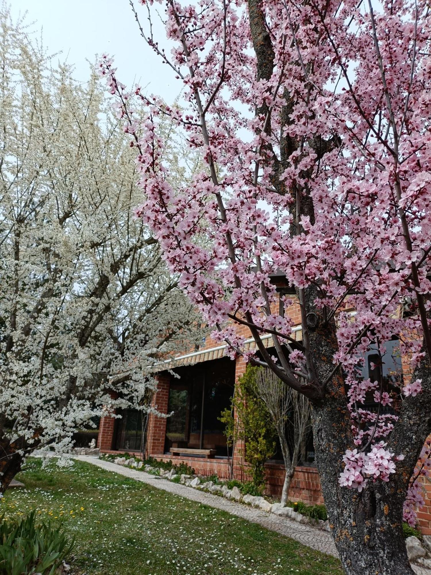 Finca Paraiso Rural Ел Бурго де Осма Стая снимка